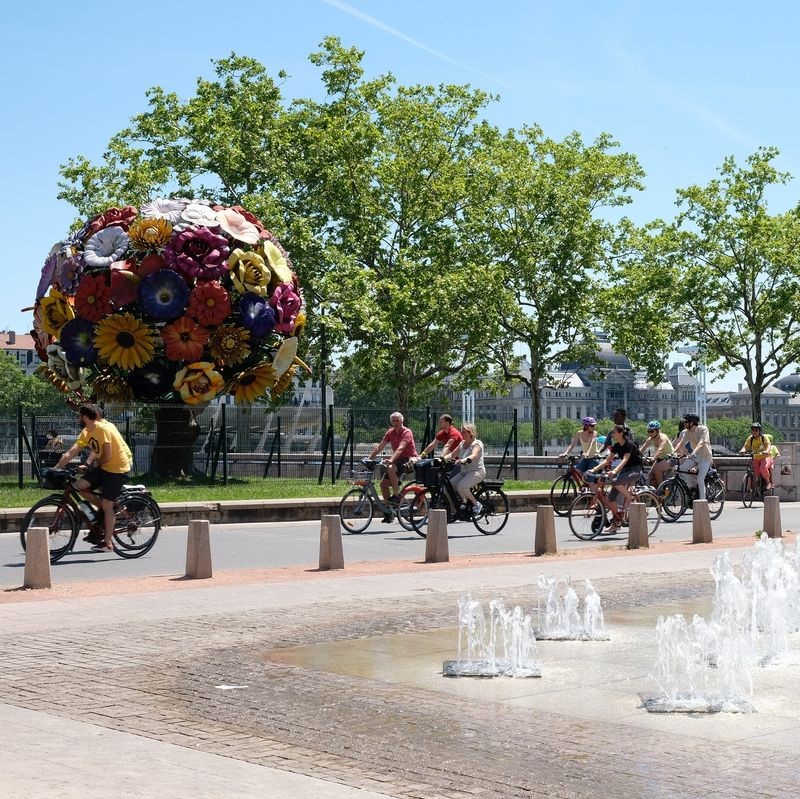 Illustration représentant des usagers de vélos passant devant l'arbre de Choï à Lyon. 